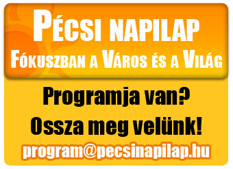 pnl programok